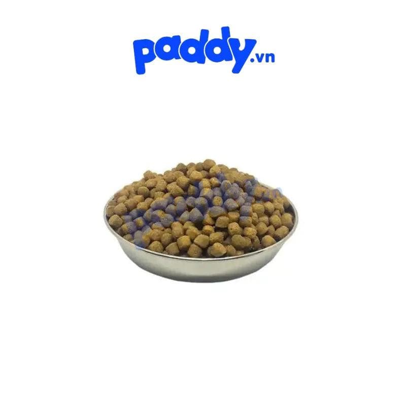 Hạt Mèo Trưởng Thành Maxima Cat (Thái Lan)