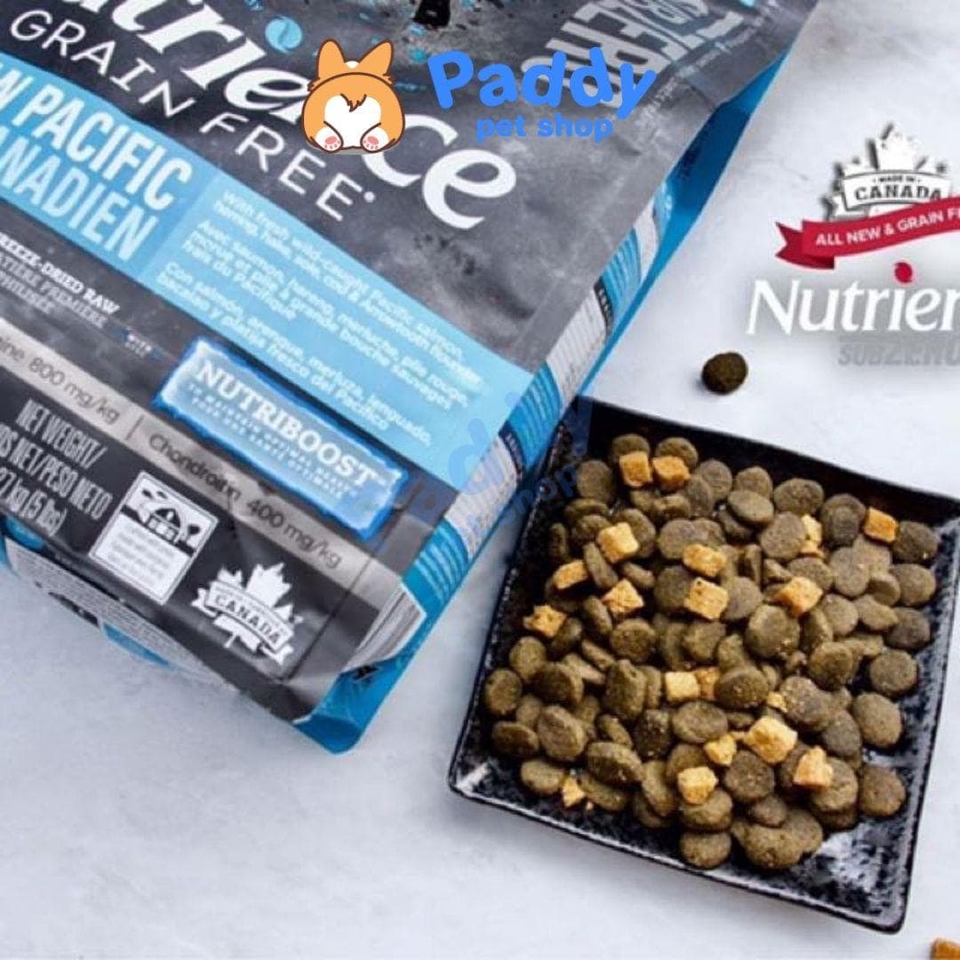Hạt Nutrience SubZero Canadian Pacific Cho Mèo Mọi Lứa Tuổi Vị Cá Biển
