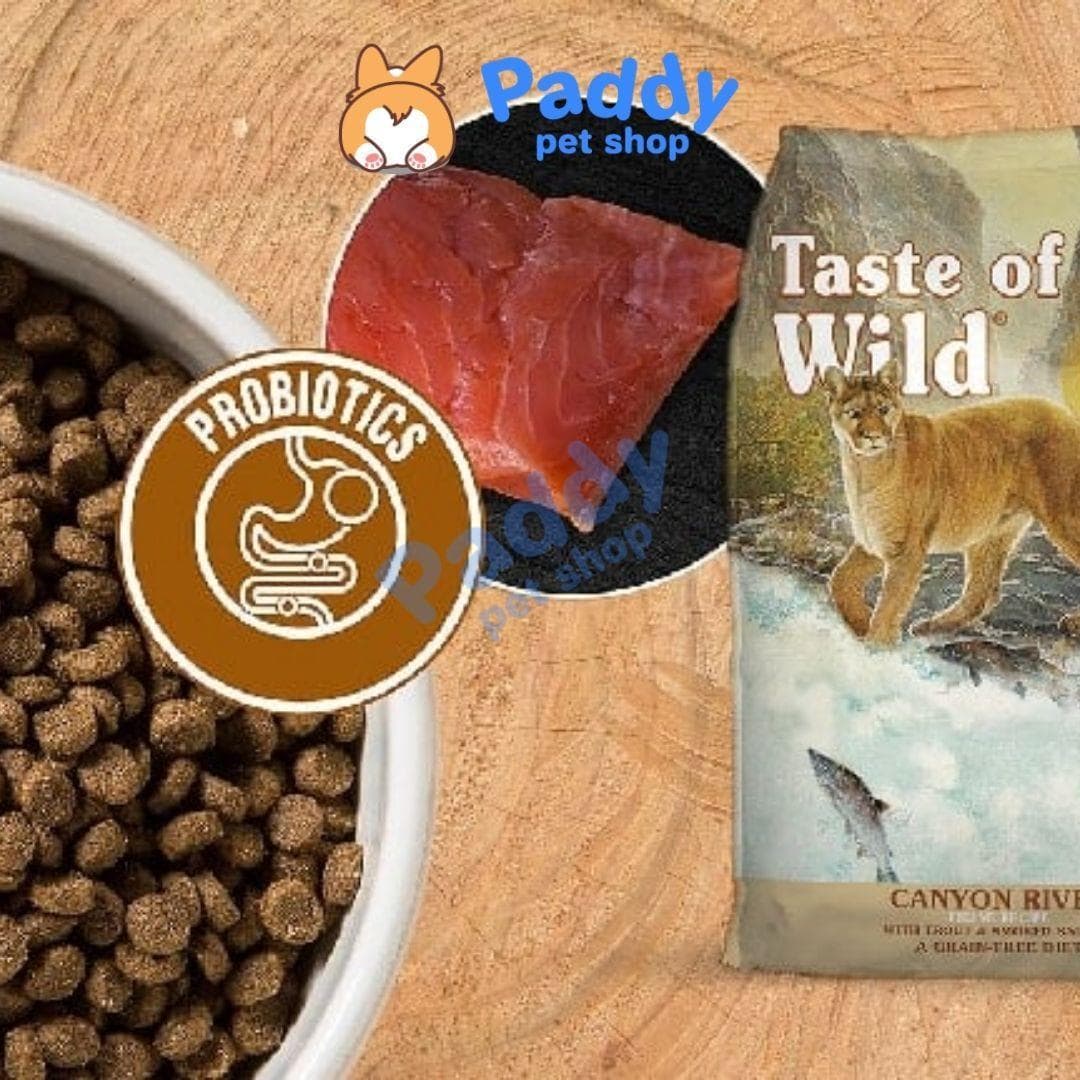 Hạt Tươi Taste Of The Wild Cho Mèo Canyon Vị Cá Hồi