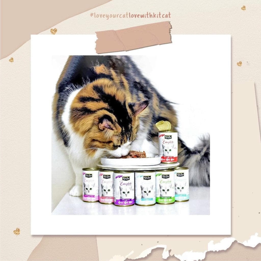 Pate Mèo Mọi Lứa Tuổi Kit Cat Complete (Lon 150g)