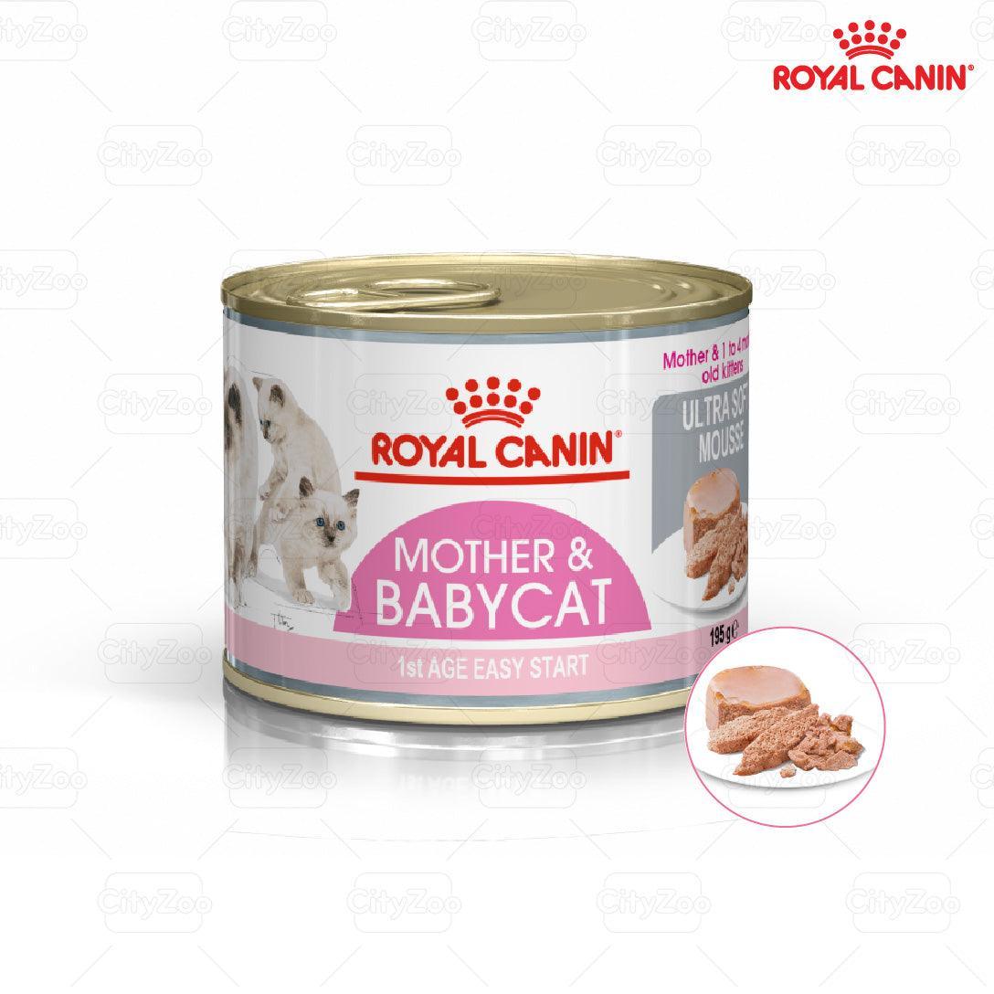 Pate Cho Mèo Mẹ & Mèo Con Royal Canin Mother & Babycat Lon 195g
