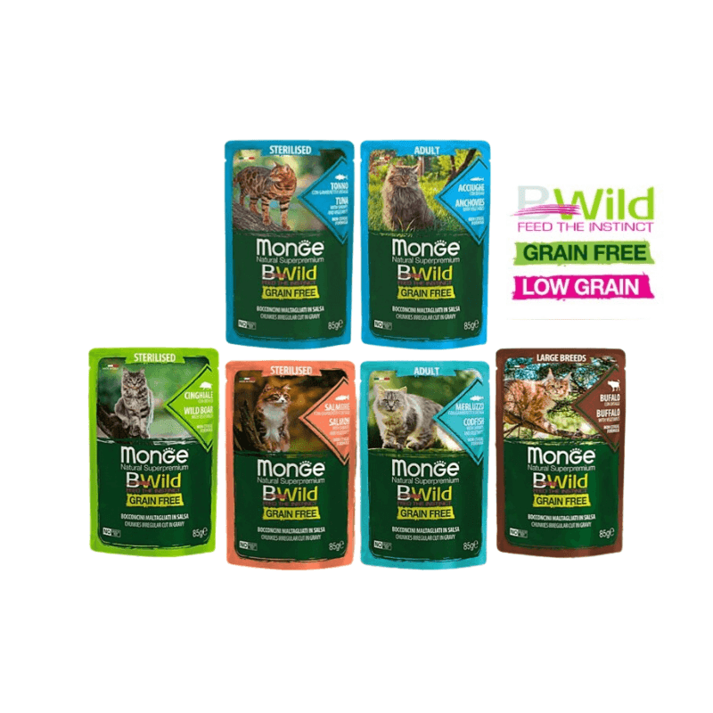 Pate Mèo Monge BWild Nhiều Vị Gói 85g