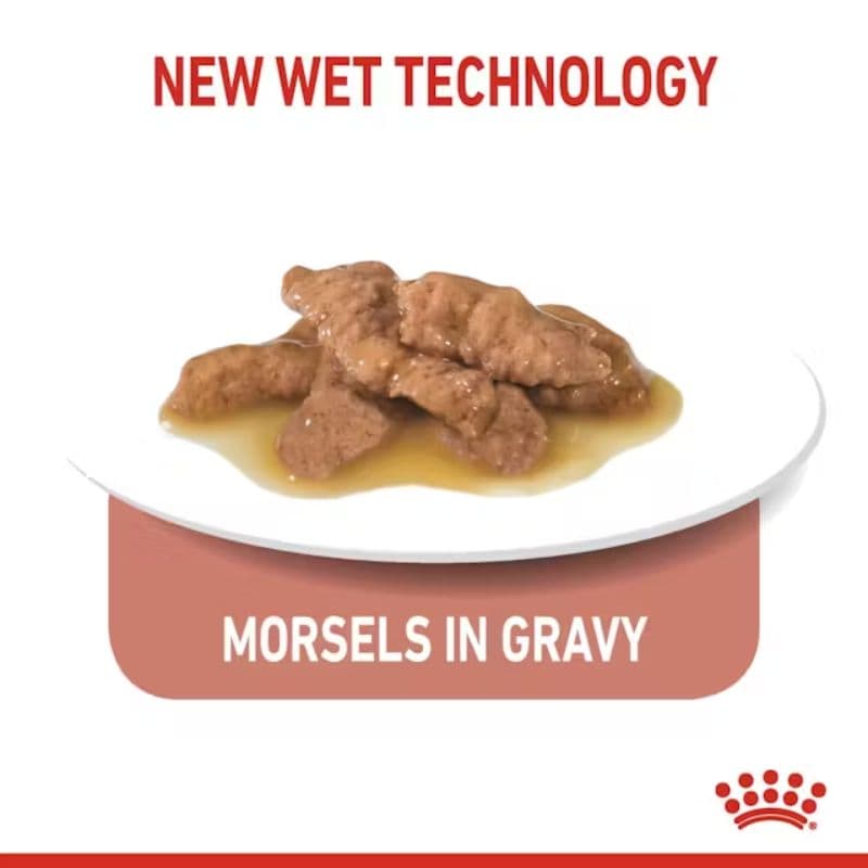 Pate Mèo Triệt Sản Royal Canin Indoor Sterilised 85g