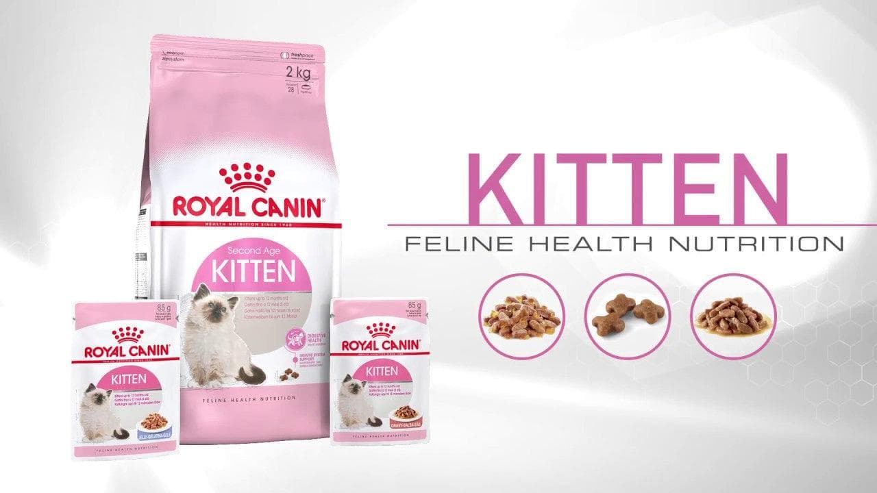 Thức Ăn Hạt Cho Mèo Con Royal Canin Kitten 36